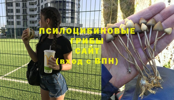 гидра Алзамай
