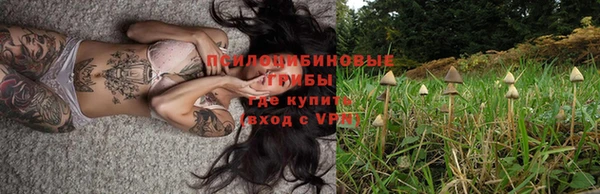 герыч Алексин