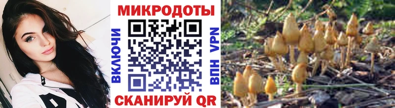 Галлюциногенные грибы мицелий  гидра ссылка  Осинники 